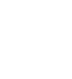Proprofil logo