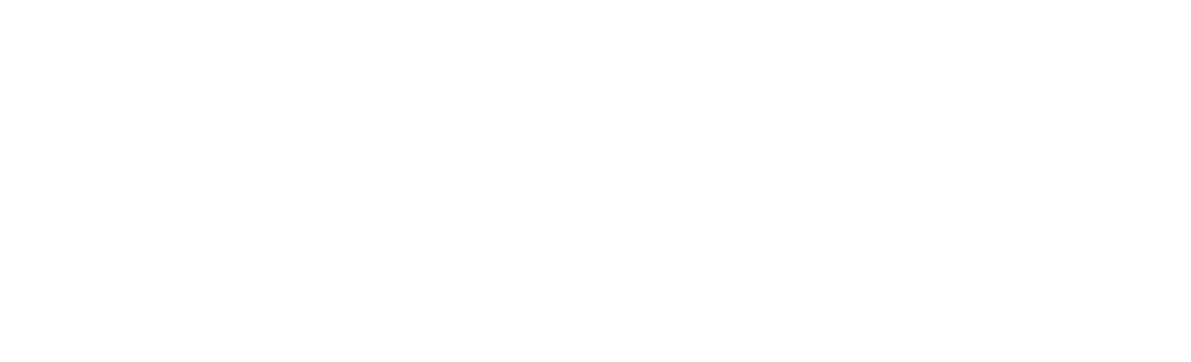 Vida11 logo