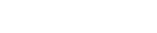 Proeleven logo