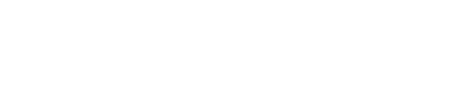 VV Consulting logo